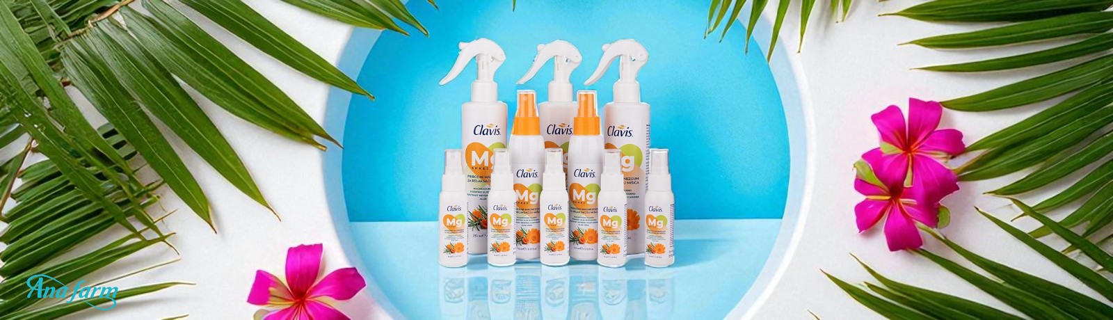 Clavis Mg Baner novo